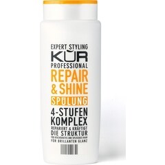 Professional Spülung Repair and Shine