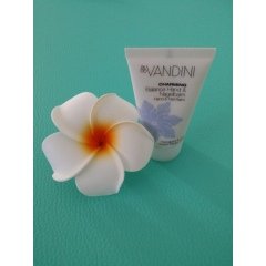 Charming - Balance Hand und Nagelbalm - Frangipani & Wilder Flieder