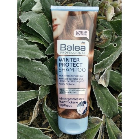 Professional - Winter Protect - Shampoo von Balea