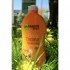 Body Cocoon - Reichhaltige Body Milk