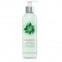 Fuji Green Tea - Body Lotion